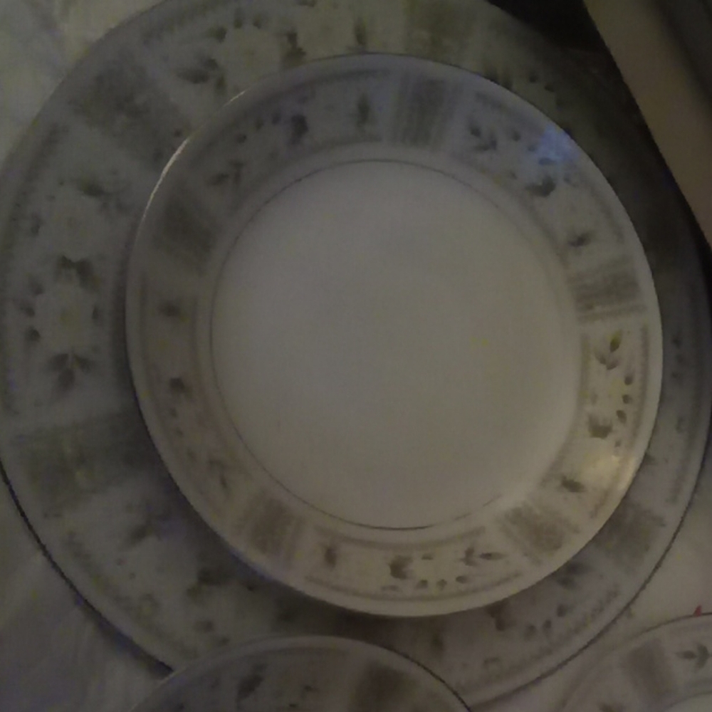Fine China Barclay 5103